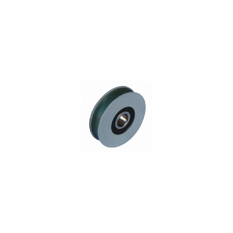 Auto Door Track Roller